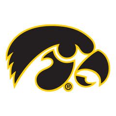 University of Iowa Hawkeyes Grill Cover Holland Game Room