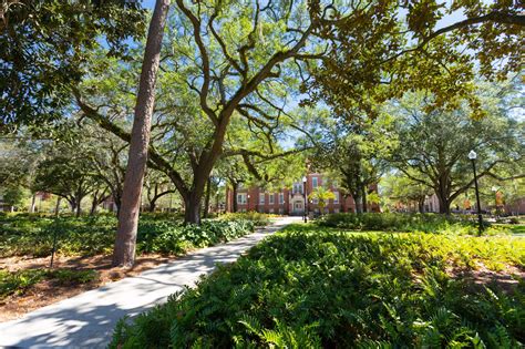 University of Miami to University of Florida (UF) - 6 ways to travel