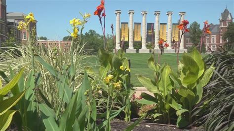 University of Missouri System data breach impacts thousands, investigation launched
