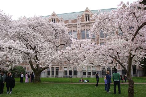 University of washington spring break. Things To Know About University of washington spring break. 