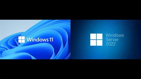 Unix, Windows All, Mac, Linux, Windows 11, Windows Server 2022, Windows Server 2019, Windows Server 2016, Windows 10 64 bit, Windows 10, Windows 8.