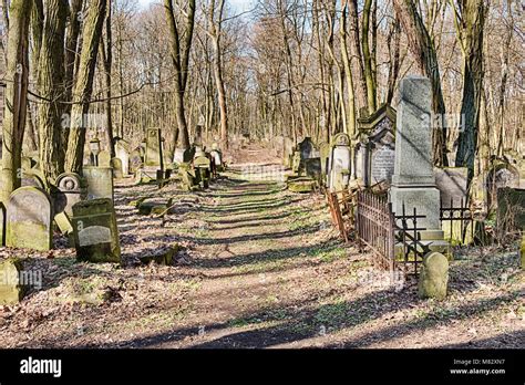 Unkept cemeteries in Hampton abandoned and becoming a …