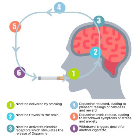 Unleash Your Focus: The Power of Nicotine to Enhance Concentration