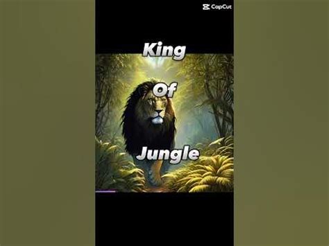 Unleash Your Inner Majesty with Like a King Game Online