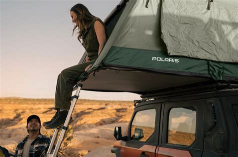 Unleash Your Wild Side