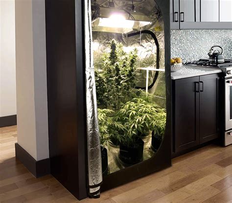 Unleash the Power of Gorilla Grow Tents: The Ultimate Guide to Cultivating Success