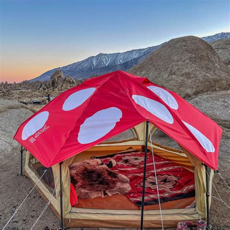 Unleash the Power of Mushroom Tent Setup for Maximum Yields