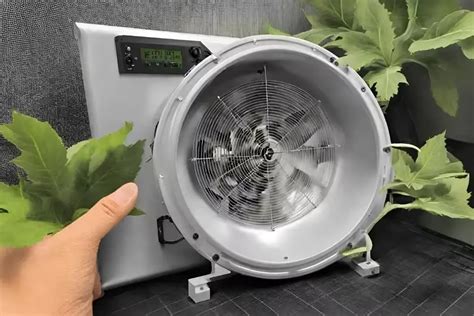 Unleash the Power of Your Grow Tent Intake Fan for Optimal Plant Growth