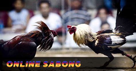 Unleash the Thrill of Sabong Online with OKBet