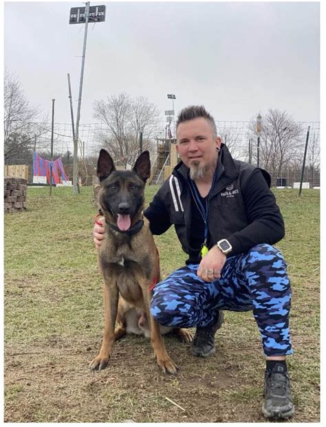 Unleashing Unparalleled Protection: The Benefits of International Defense K9s Security Dog Services