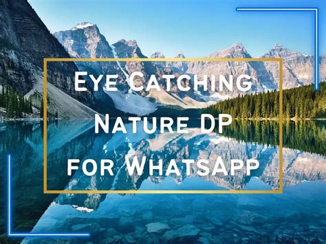 Unlock the Beauty of Nature with Whatsapp DP