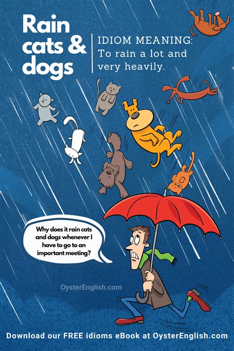 Unlock the Secret of Weather Wisdom: Unraveling the Raining Cats and Dogs Idiom