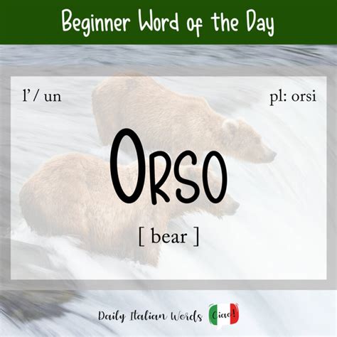 Unlock the Secrets of Orso: A Comprehensive Guide to Bear in Italian