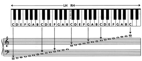 Unlock the Symphony: A Guide to Music Notes in Spanish for Musical Mastery