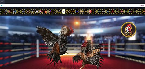 Unlock the World of Sports Betting with www betx12 net**