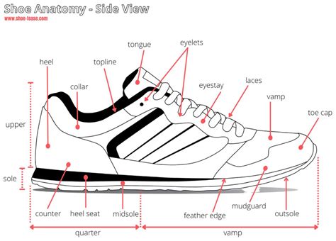 Unraveling the Anatomy of a Shoe: A Comprehensive Guide to the Essential Parts of a Shoe