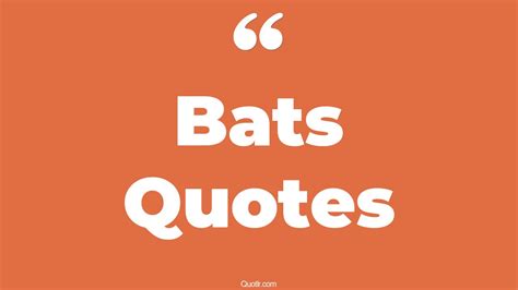 2024 Unraveling the Wisdom in Baseball Bat Quotes 🏭Bat emoji & 💬Thought emojis)-marketplaceplus.shop