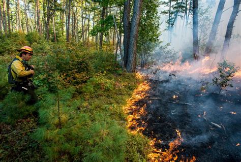 Unseasonably warm day ideal for controlled burn 
