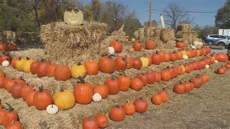 Unseasonably warm temperatures not affecting business at local pumpkin patch