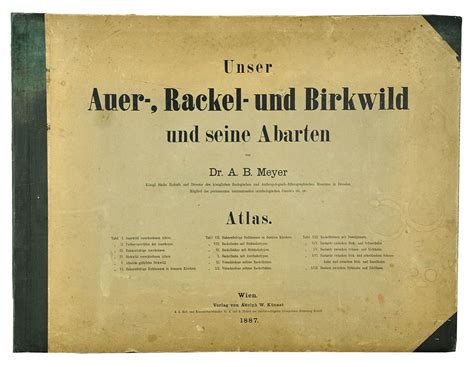 Unser auer , rackel  und birkwild und seine abarten. - The maryland out of state attorney exam a practical study guide.