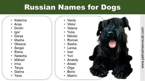 Unveil the Allure of Russian Pet Names for Your Beloved