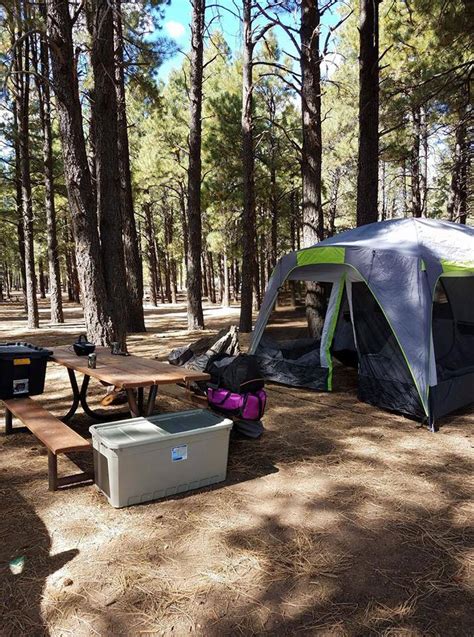 Unveiling the Enchanting World of Tent Camping in Flagstaff: A Guide to Unforgettable Adventures