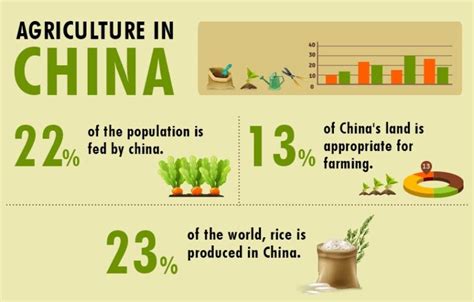 Unveiling the Lucrative World of Agriculture in Chinese: A Comprehensive Guide