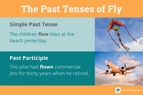 Unveiling the Secrets of the Past: Exploring the flew** Past Tense of Fly