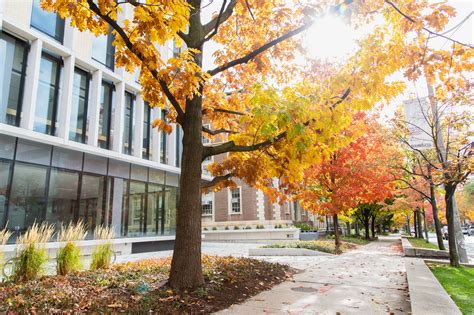 Uoft sessional dates.  The U of T Engineering Academic Calendar contains information on a...