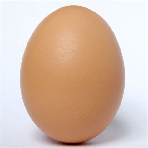 Uovo. Un uovo semi-crudo ondeggia o ruota formando una spirale su un lato. 3. Per sgusciare le uova fresche con facilità, esponile al vapore. Quando hanno solo un giorno o due, le uova hanno una membrana che si attacca al guscio e che rende più difficili le operazioni di rimozione di quest’ultimo. ... 