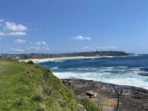 Upcoming funerals frenchs forest.  opening hours in FRENCHS FOREST Funeral Dir...