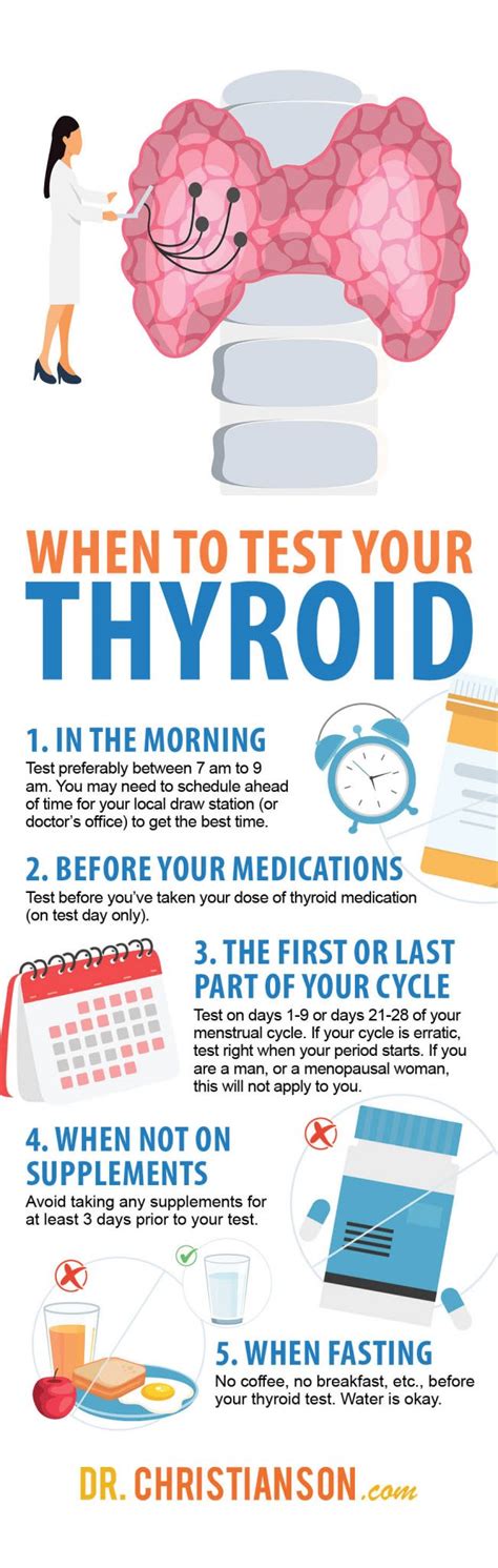 Update Testing Your Thyroid and the Definitive Guide to Optimal Ranges