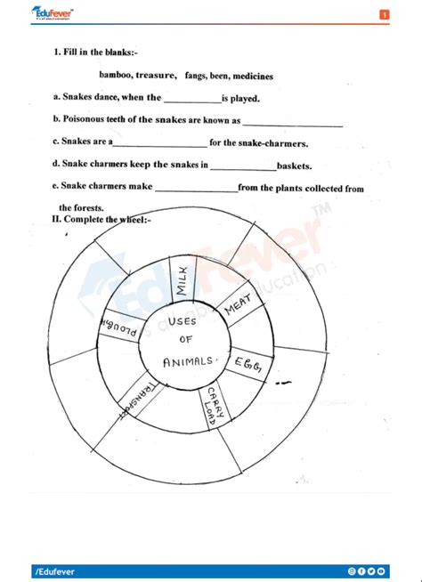 Updated CBSE Class 5 EVS Practice Worksheet 2024 25 Session in PDF