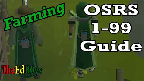 Updated Guide in Description OSRS 99 Farming Guide YouTube