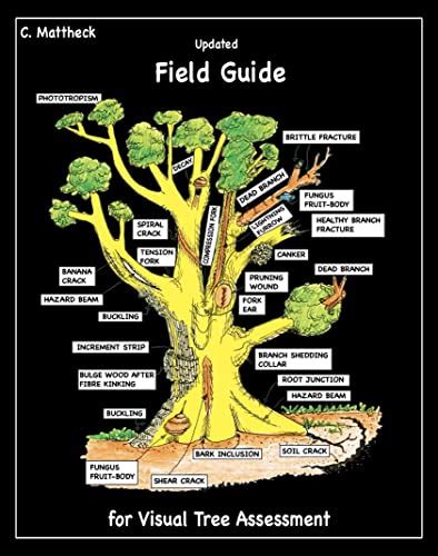 Updated field guide for visual tree assessment. - The essential guide to beachcombing and the strandline.