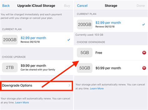 Upgrade icloud storage. Tap iCloud Storage, then follow the onscreen instructions. On your Mac: Do one of the following: macOS 13 or later: Choose Apple menu > System Settings, then click Family in the sidebar. Click Subscriptions, click iCloud+, then click Share with Family. macOS 12 or earlier: Choose Apple menu > System Preferences, then click Family Sharing. 