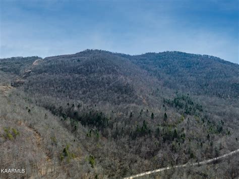 Upper Jellico Creek Rd, Winfield, TN 37892 MLS