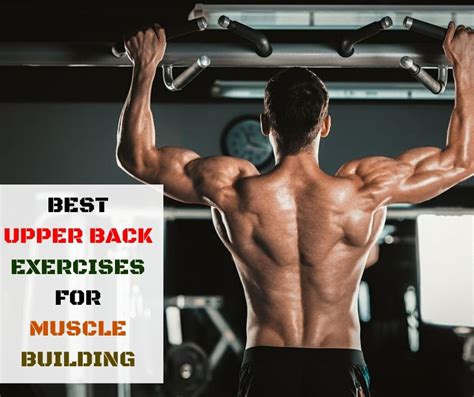 Upper back exercises. Things To Know About Upper back exercises. 