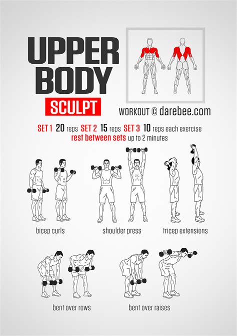 Upper body workout with dumbbells. So, here is a structured, balanced dumbbell upper body workout for you to try. Do it twice a week on non-constitutive days, e.g., Monday and Thursday, to allow plenty of time for rest and recovery. But, before you begin, remember that a good workout starts with a proper warm-up, and dumbbell training is no different. 