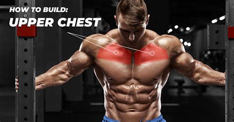 Upper chest exercises. Things To Know About Upper chest exercises. 