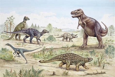 Upper cretaceous. Things To Know About Upper cretaceous. 