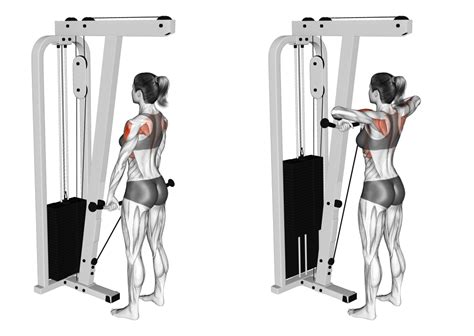 Upright Cable Row Exercise Howto Workout Trainer by Skimble