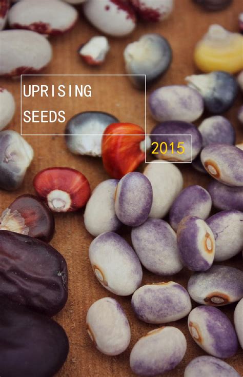 Uprising seeds. Things To Know About Uprising seeds. 
