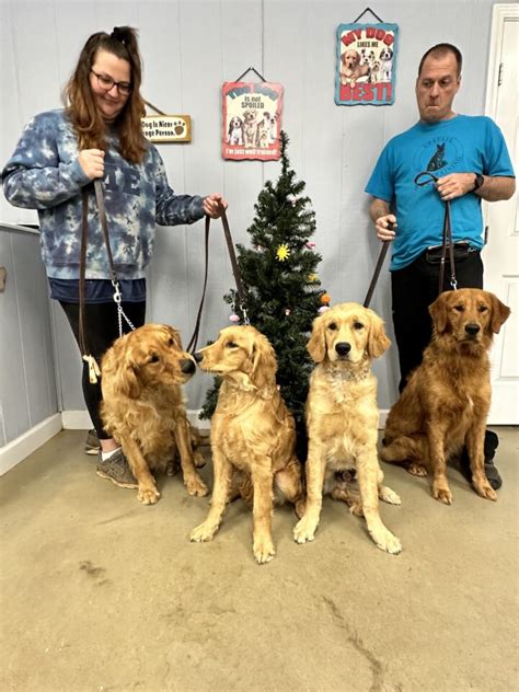 Upstate dog training. Get To Know Jeff And Crystal Jones, The Onsite Owner/Operators Of Upstate Dog Training. Learn Why Their Kennel Has Impacted Four Generations Of Family. 