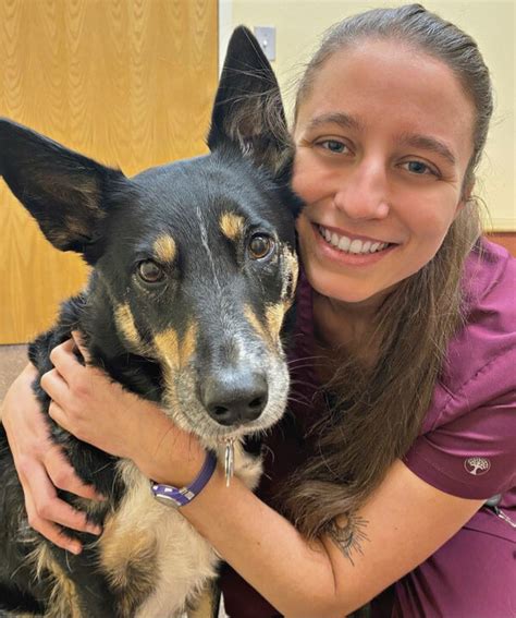 Upstate vet. Washington, D.C. - Congresswoman Elise Stefanik released the following statement after voting to successfully pass the Further Consolidated Appropriations Act which secures … 