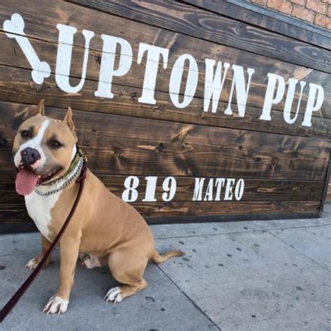 Uptown pup. Uptown Pup, Los Angeles, California. 1,060 likes · 190 were here. Located in the heart of the Arts District in Downtown Los Angeles, Uptown Pup provides a holistic, c 