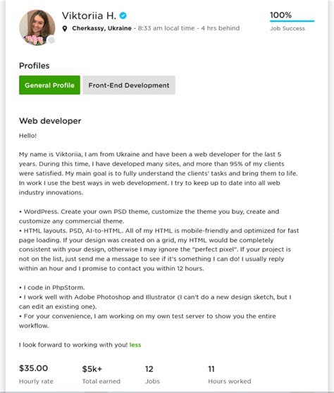 Upwork Profile Overview Sample for Web Developer Webson Job