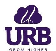 URB THC-A Snow Capped Joints 3.5G. $24.99. or 4 interest-free payments