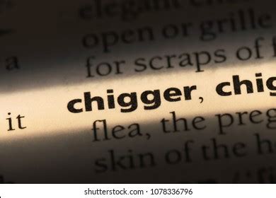 Urban Dictionary: chigger