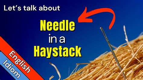 Urban Dictionary: haystack